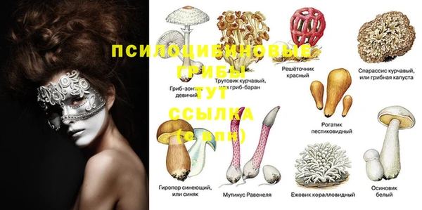 прущая мука Белокуриха